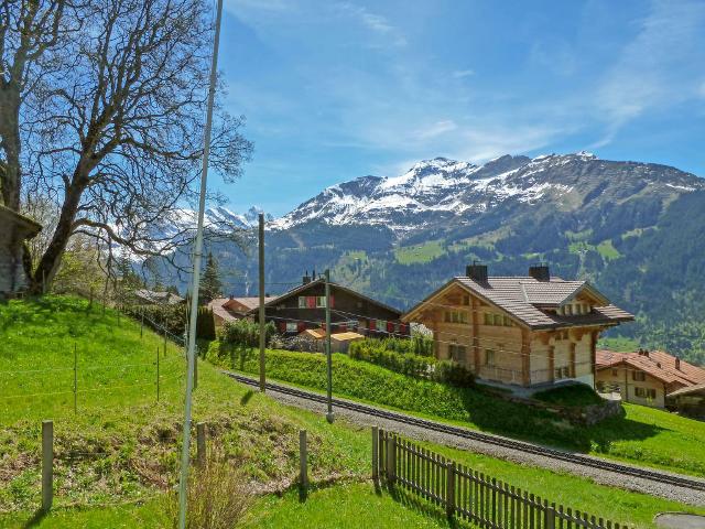 Chalet Star - Wengen 