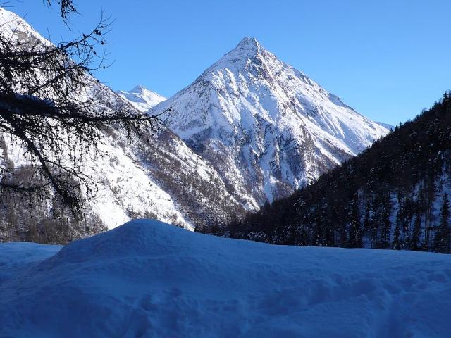 Apartment Amici - Saas - Grund