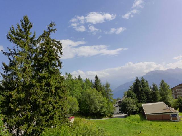 Apartment Barzettes-Vacances B - Crans - Montana 