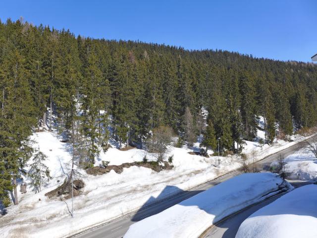 Apartment de la Forêt - Crans - Montana 