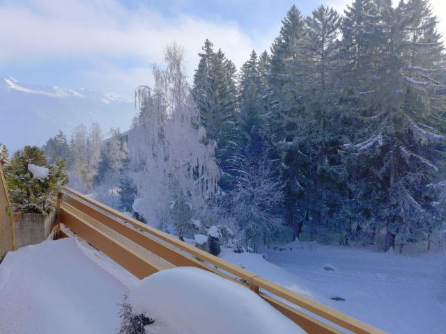Apartment Terrasse des Alpes - Crans - Montana