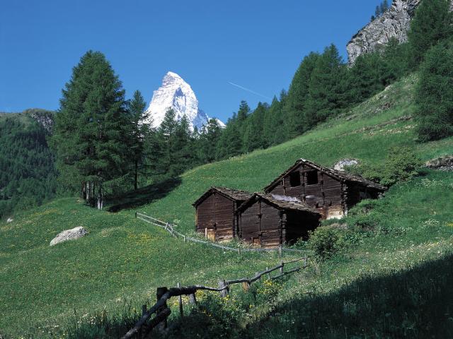 Apartment Sonnhalde B - Zermatt