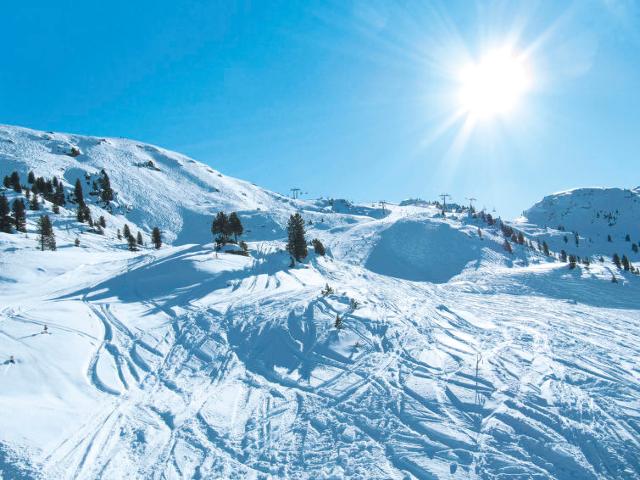 Apartment Anita - Zell am Ziller