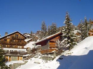 Apartements L'ermitage - Méribel Centre 1600