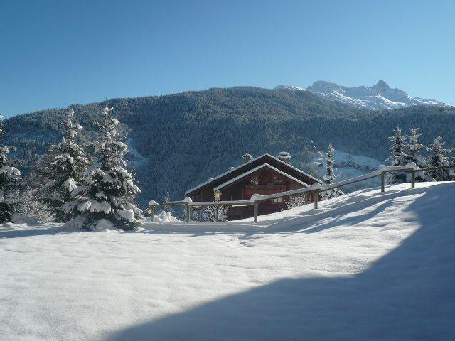 Apartements BERGERIE DES 3 VALLEES D - Méribel Les Allues 1200