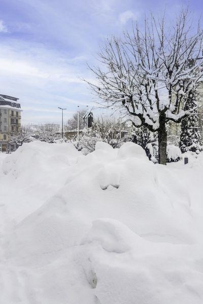 Apartment Blanc Neige - Chamonix Centre