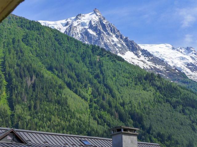 Apartment Blanc Neige - Chamonix Centre