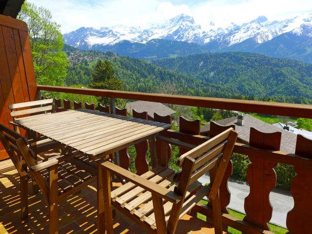 Châlet Les Aiguilles d'Argent 10 - Villars - sur - Ollons 