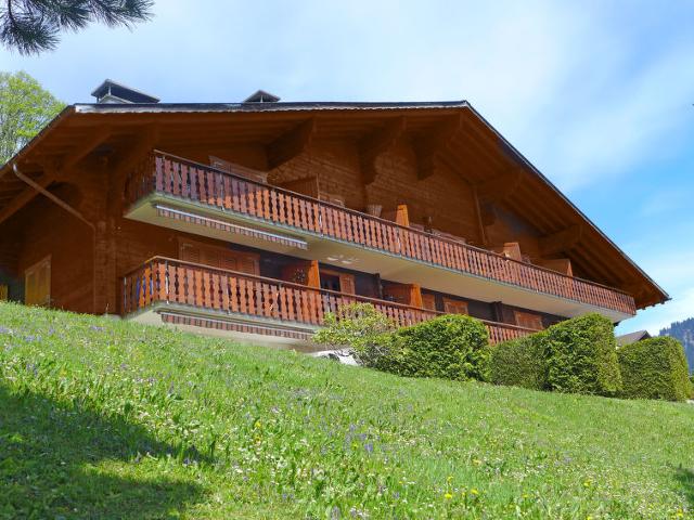 Châlet Les Aiguilles d'Argent 10 - Villars - sur - Ollons