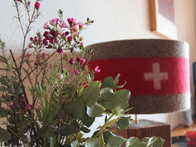 Apartment La Bercière 21 - Villars - sur - Ollons