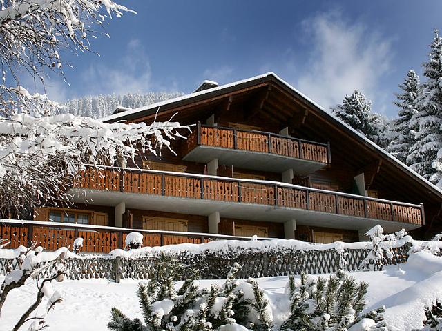 Châlet Sapin Bleu 6 - Villars - sur - Ollons