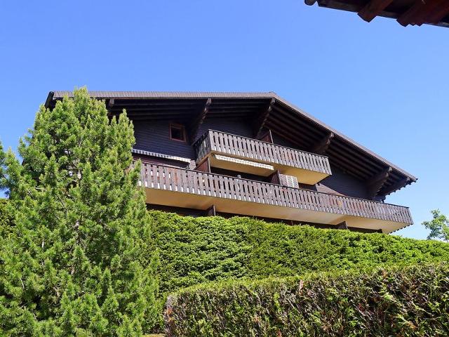 Châlet Les Bruyères 25 - Villars - sur - Ollons