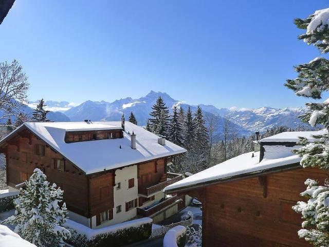 Châlet Les Bruyères 25 - Villars - sur - Ollons