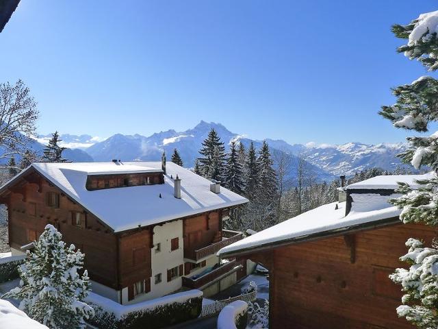 Châlet Les Bruyères 25 - Villars - sur - Ollons 