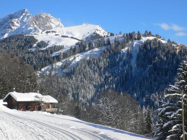 Châlet Les Bruyères 25 - Villars - sur - Ollons
