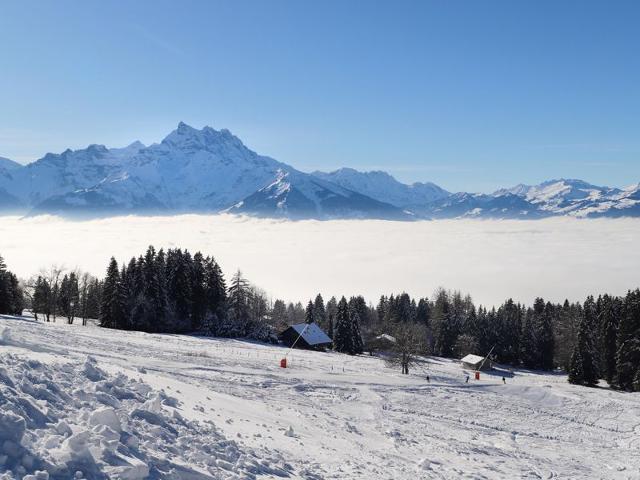 Châlet Les Bruyères 25 - Villars - sur - Ollons 