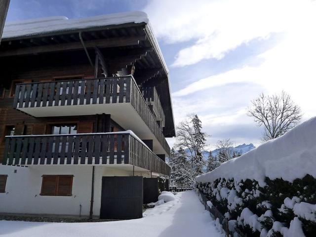 Châlet Les Bruyères 25 - Villars - sur - Ollons 