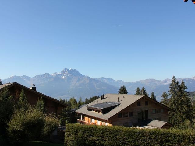 Châlet Le Bouquetin 1 - Villars - sur - Ollons