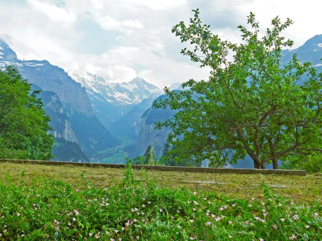 Châlet Helene - Wengen 