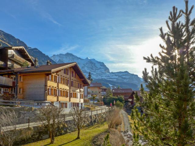 Apartment Schoneggacher - Wengen 