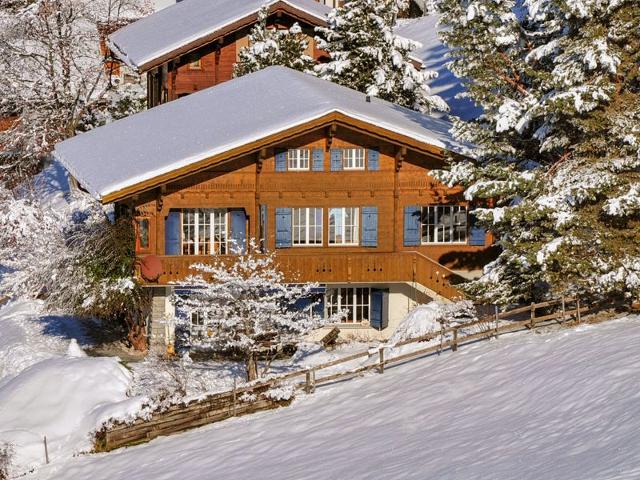 Châlet Arche - Wengen