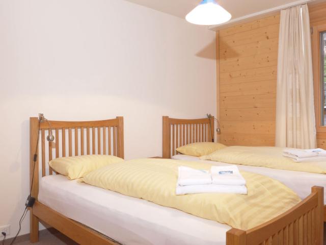 Apartment Bella Vista - Wengen