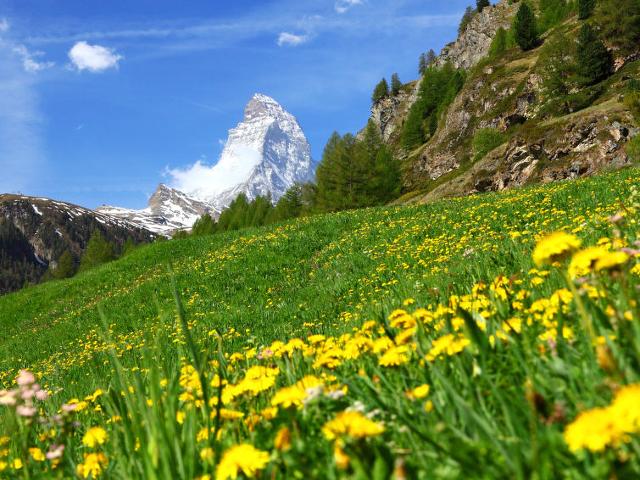 Apartment Mirador - Zermatt