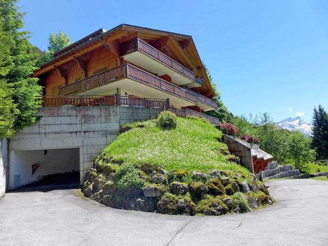 Châlet Le Faucon 7 - Villars - sur - Ollons