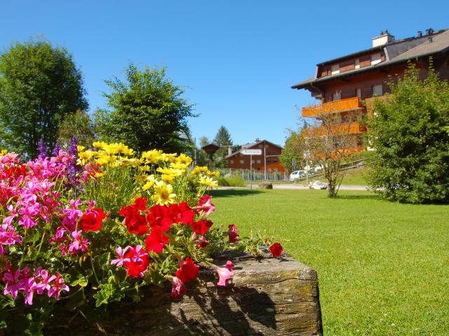 Apartment Diamant 1 - Villars - sur - Ollons
