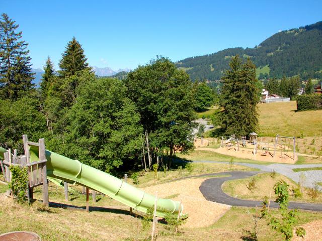 Apartment Diamant 1 - Villars - sur - Ollons