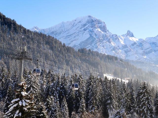 Châlet Les Seracs 1 - Villars - sur - Ollons