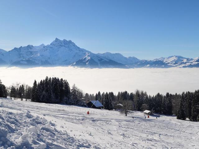 Châlet Les Seracs 1 - Villars - sur - Ollons