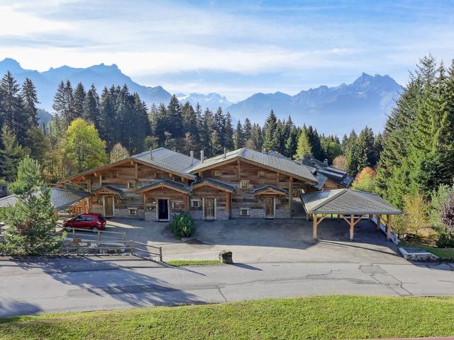 Châlet Argentière 8 - Villars - sur - Ollons
