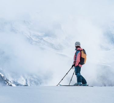 telemark