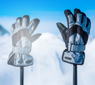 Ski Gloves