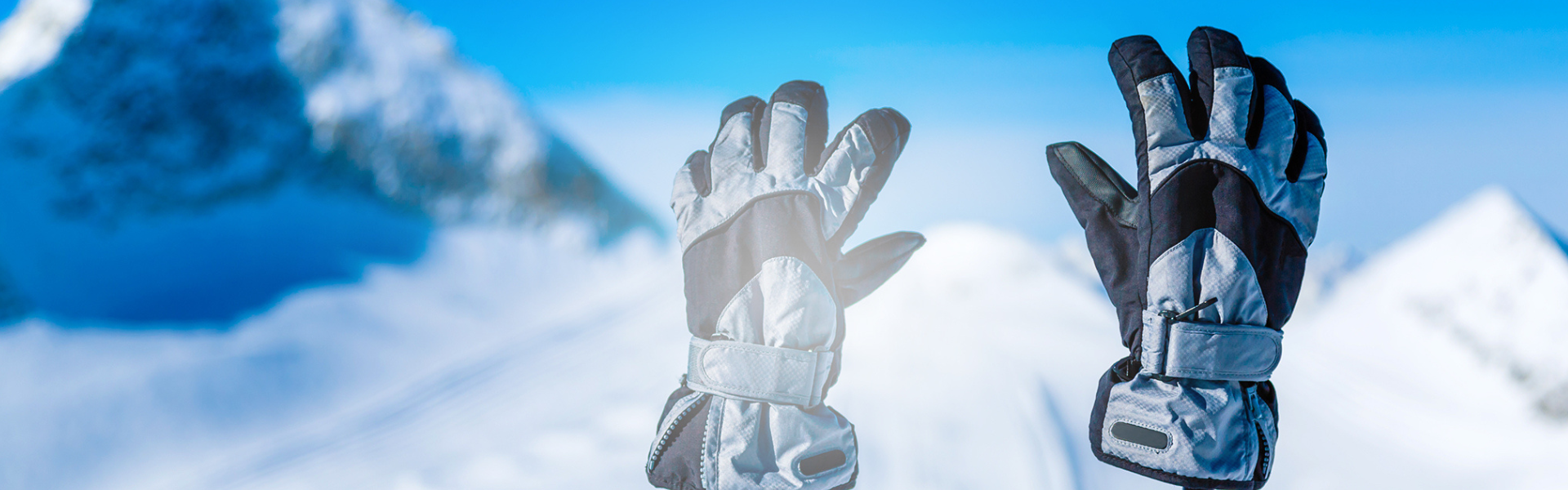 Ski Gloves