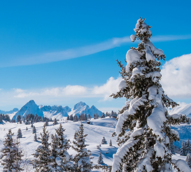 Chamonix ski